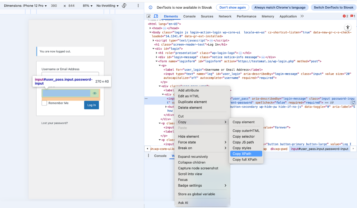 Example XPath Selenium Dev tools